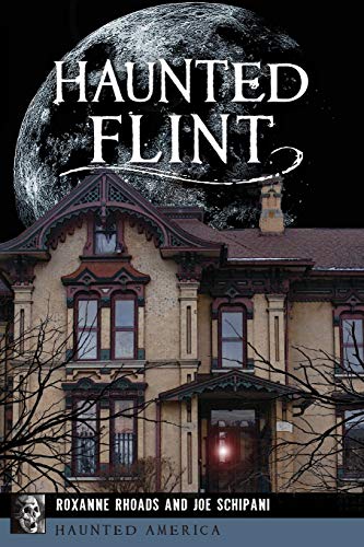 Beispielbild fr Haunted Flint (Haunted America) zum Verkauf von Blue Vase Books