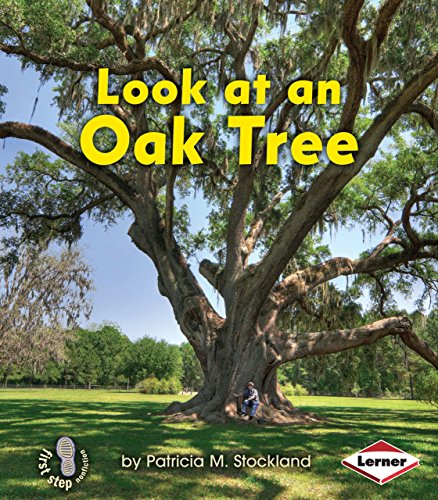 Look at an Oak Tree (First Step Nonfiction â€• Look at Trees) (9781467705219) by Stockland, Patricia M.