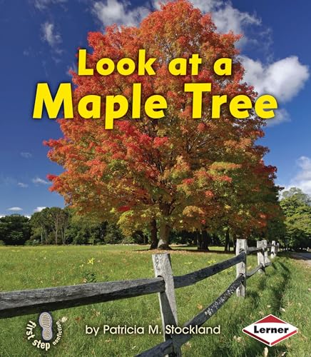 Imagen de archivo de Look at a Maple Tree (First Step Nonfiction ? Look at Trees) a la venta por GF Books, Inc.