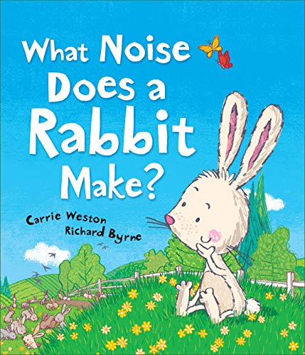 Stock image for What Noise Does a Rabbit Make? for sale by Better World Books: West