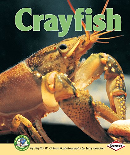 9781467721530: Crayfish (Early Bird Nature Books)