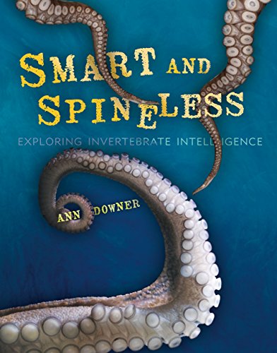 Beispielbild fr Smart and Spineless : Exploring Invertebrate Intelligence zum Verkauf von Better World Books