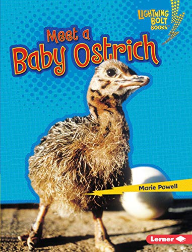 Stock image for Meet a Baby Ostrich for sale by ThriftBooks-Atlanta
