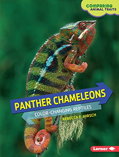 Stock image for Panther Chameleons : Color-Changing Reptiles for sale by Better World Books: West