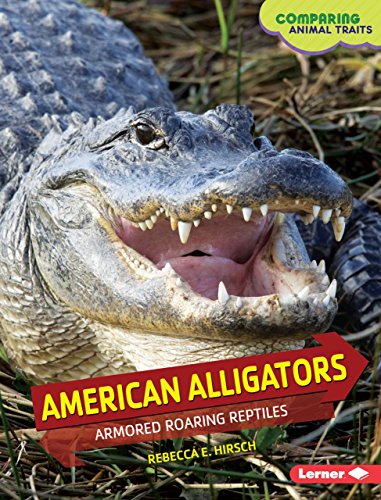 Stock image for American Alligators : Armored Roaring Reptiles for sale by Better World Books