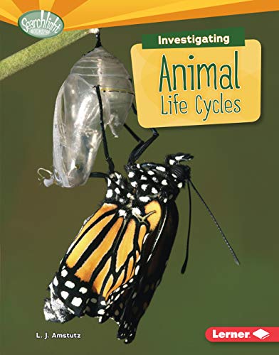 Stock image for Investigating Animal Life Cycles (Searchlight Books T ? What Are Earth's Cycles?) for sale by More Than Words