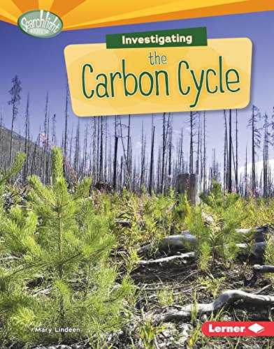 Stock image for Investigating the Carbon Cycle (Searchlight Books T ? What Are Earth's Cycles?) for sale by More Than Words