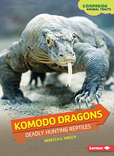 Stock image for Komodo Dragons : Deadly Hunting Reptiles for sale by Better World Books