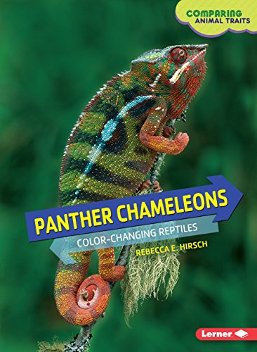 Stock image for Panther Chameleons: Color-Changing Reptiles (Comparing Animal Traits) for sale by Blue Vase Books