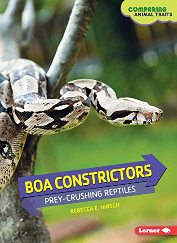 Imagen de archivo de Boa Constrictors : Prey-Crushing Reptiles a la venta por Better World Books