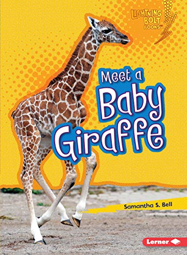 Beispielbild fr Meet a Baby Giraffe zum Verkauf von ThriftBooks-Atlanta