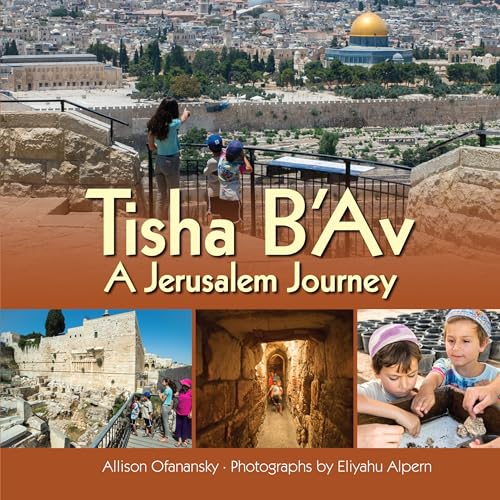 Stock image for Tisha B'Av: A Jerusalem Journey for sale by Lowry's Books