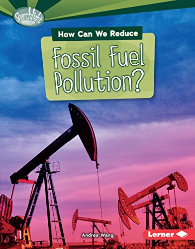 9781467795135: How Can We Reduce Fossil Fuel Pollution? (Searchlight Books (TM) -- What Can We Do about Pollution?)