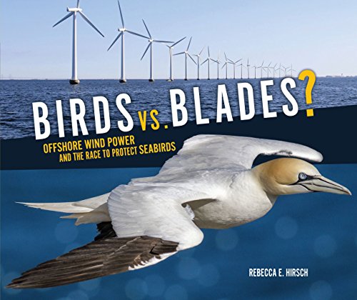 Stock image for Birds vs. Blades? : Offshore Wind Power and the Race to Protect Seabirds for sale by Better World Books