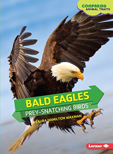 Imagen de archivo de Bald Eagles : Prey-Snatching Birds a la venta por Better World Books