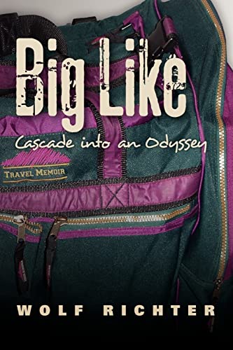 Stock image for Big Like: Cascade into an Odyssey for sale by Better World Books