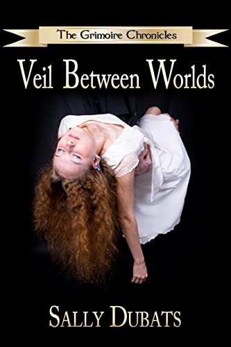 9781467984102: Veil Between Worlds