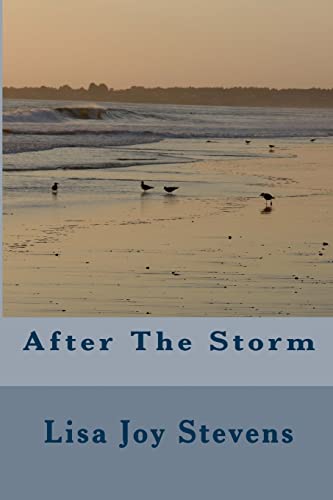 Stock image for After The Storm for sale by ThriftBooks-Atlanta