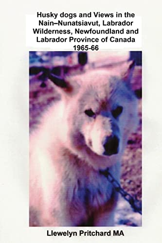 Stock image for Husky Dogs and Views in the Nain - Nunatsiavut, Labrador Wilderness, Newfoundland and Labrador Province of Canada 1965-66: Cover Photograph: Husky Dog for sale by THE SAINT BOOKSTORE