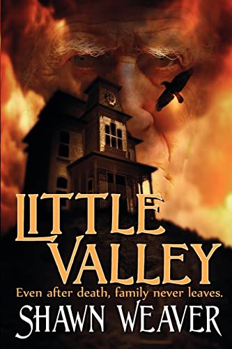 Stock image for Little Valley for sale by THE SAINT BOOKSTORE