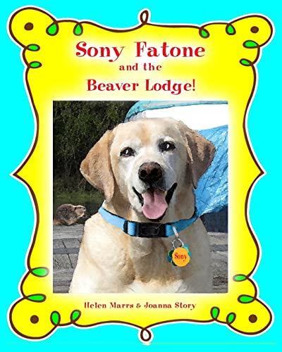 Stock image for Sony Fatone and the Beaver Lodge for sale by THE SAINT BOOKSTORE