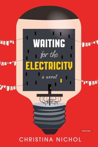 Beispielbild fr Waiting for the Electricity : A Novel zum Verkauf von Better World Books