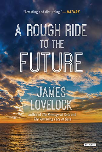Imagen de archivo de A Rough Ride to the Future a la venta por Better World Books: West
