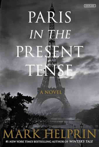 Stock image for Paris in the Present Tense: A Novel for sale by SecondSale
