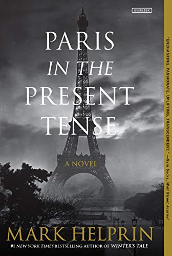 Stock image for Paris in the Present Tense: A Novel for sale by Dream Books Co.