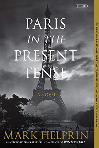 Stock image for Paris in the Present Tense: A Novel for sale by SecondSale