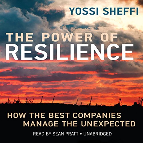 Imagen de archivo de The Power of Resilience: How the Best Companies Manage the Unexpected a la venta por HPB-Diamond