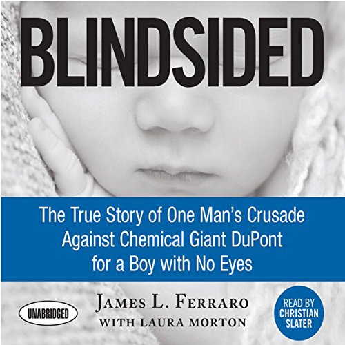 Beispielbild fr Blindsided : The True Story of One Man's Crusade Against Chemical Giant Dupont for a Boy with No Eyes zum Verkauf von Better World Books