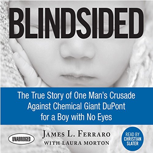 Stock image for Blindsided : The True Story of One Man's Crusade Against Chemical Giant Dupont for a Boy with No Eyes for sale by Better World Books: West