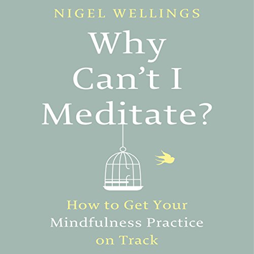 Beispielbild fr Why Can`t I Meditate? zum Verkauf von Buchpark