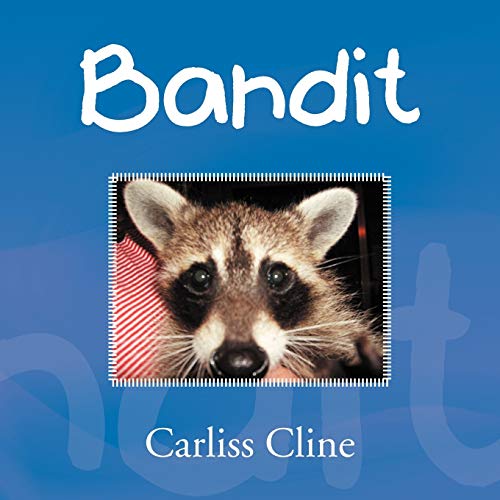 Imagen de archivo de Bandit a la venta por Lucky's Textbooks