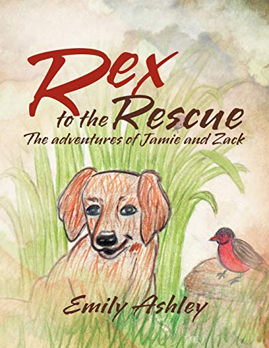 Stock image for Rex to the Rescue: The adventures of Jamie and Zack for sale by Lucky's Textbooks
