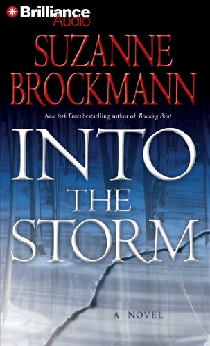Imagen de archivo de Into the Storm: A Novel (Troubleshooters Series) a la venta por Bookmans