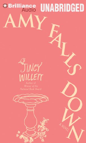 Amy Falls Down: A Novel (9781469293424) by Willett, Jincy