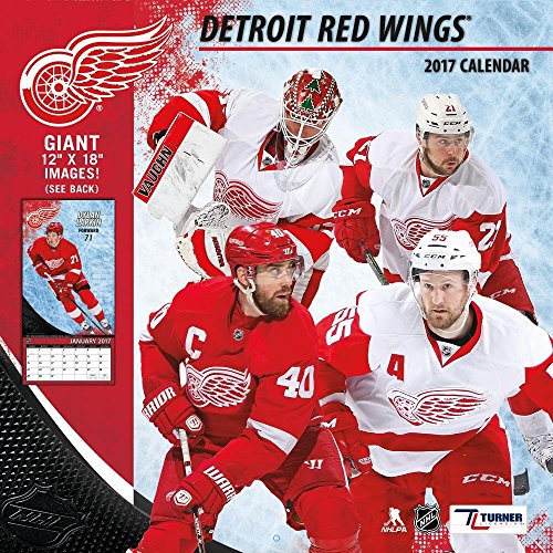 9781469339962: Detroit Red Wings 2017 Calendar