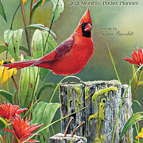 Stock image for Songbirds 2021 Monthly Pocket Planner for sale by GF Books, Inc.