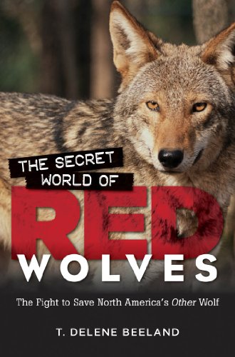 

The Secret World of Red Wolves : The Fight to Save North America's Other Wolf