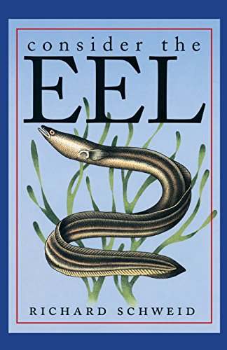 9781469615134: Consider the Eel