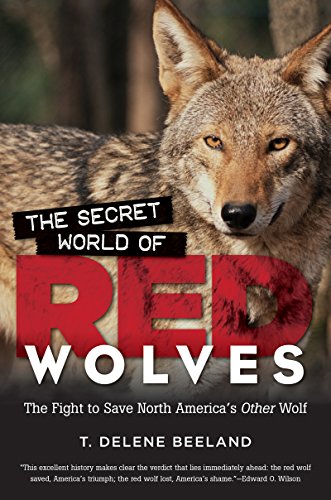 Imagen de archivo de The Secret World of Red Wolves: The Fight to Save North America's Other Wolf a la venta por Save With Sam