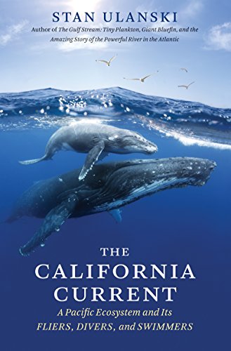 Beispielbild fr The California Current : A Pacific Ecosystem and Its Fliers, Divers, and Swimmers zum Verkauf von Better World Books: West
