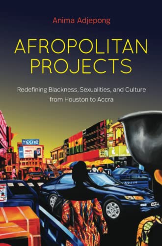 Beispielbild fr Afropolitan Projects zum Verkauf von Blackwell's