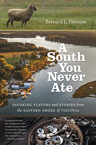 Stock image for A South You Never Ate: Savoring Flavors and Stories from the Eastern Shore of Virginia (H. Eugene and Lillian Youngs Lehman Series) for sale by Goodwill of Colorado