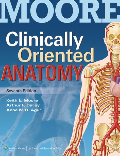 Beispielbild fr Moore Clinically Oriented Anatomy zum Verkauf von GoldenWavesOfBooks