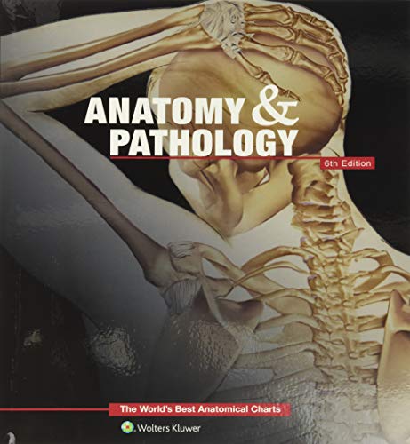 9781469889900: Anatomy & Pathology:The World's Best Anatomical Charts Book (The World's Best Anatomical Chart Series)