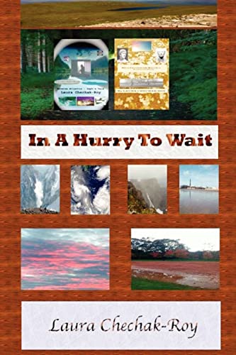 Stock image for In A Hurry To Wait for sale by THE SAINT BOOKSTORE