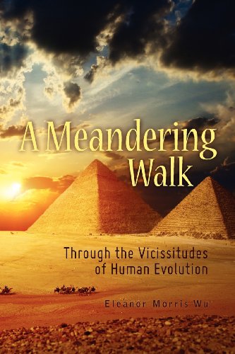 Stock image for A Meandering Walk Through the Vicissitudes of Human Evolution for sale by Revaluation Books